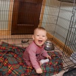 Uncle Luke and Aunt Kim were dog sitting and brought "Auggie's" kennel... for Caleb to play in :) Uncle Luke and Aunt Kim were dog sitting and brought "Auggie's" kennel... for Caleb to play in :)